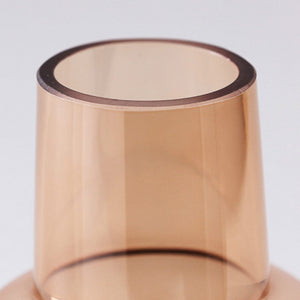 Frosted Transparent Glass Vase - HOUSYE