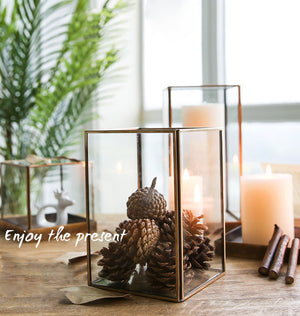 Glass Cover Metal Frame Vase Candle Holder - HOUSYE