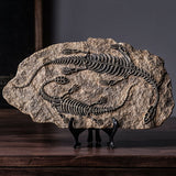 Resin Dinosaur Fossil Art Craft - HOUSYE