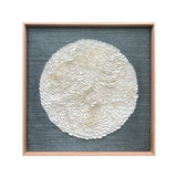Natural Shell Circular Wall Art
