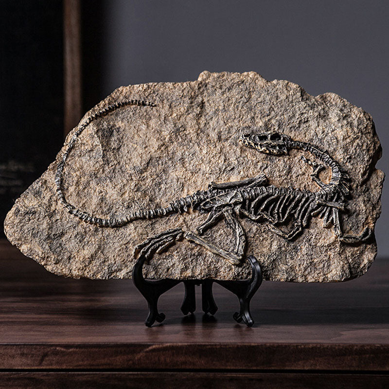 Resin Dinosaur Fossil Art Craft - HOUSYE