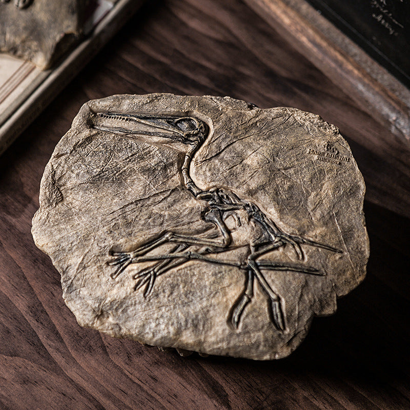 Resin Dinosaur Fossil Art Craft - HOUSYE